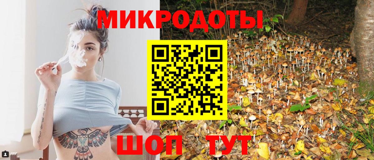 Алексеевка  Псилоцибиновые грибы ЛСД  Вход с VPN  Галлюциногенные грибы Cubensis 