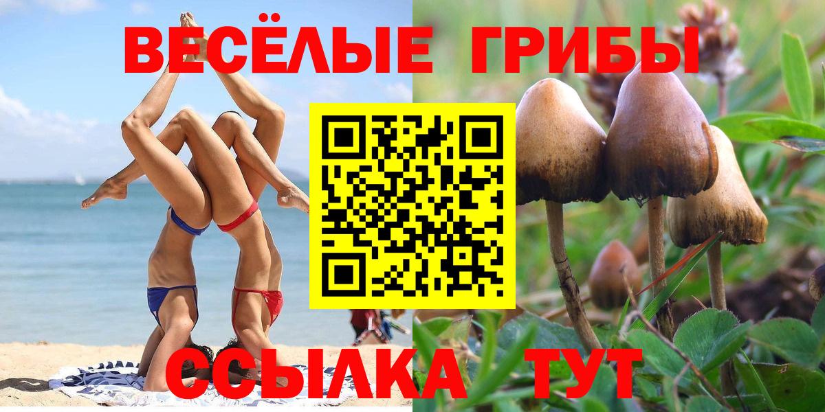 Псилоцибиновые грибы прущие грибы Алексеевка